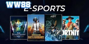 Game Esport Là Gì? Tìm Hiểu Một Số Môn Esport Nổi Bật Nhất